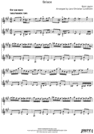 Thumbnail Solace Pure Sheet Music Duet for Flute and Viola, Arranged by Lars Christian Lundholm