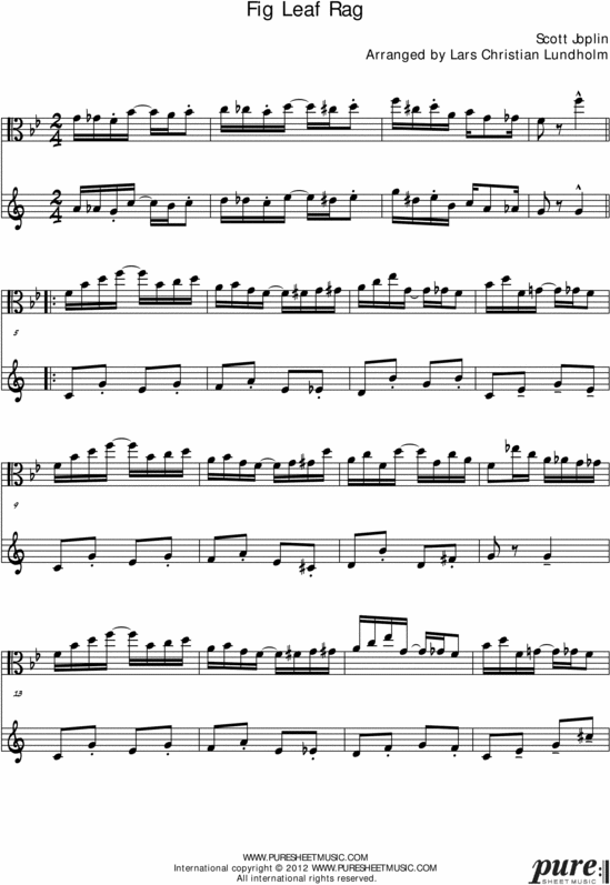 Product picture Fig Leaf Rag Pure Sheet Music Duet for Viola and Bb Instrument, Arranged by Lars Christian Lundholm