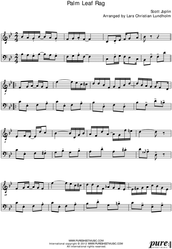 Product picture Palm Leaf Rag Pure Sheet Music Duet for Accordion and Cello, Arranged by Lars Christian Lundholm