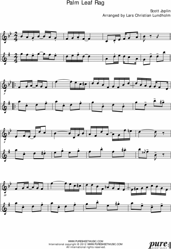 Product picture Palm Leaf Rag Pure Sheet Music Duet for Flute and Baritone Saxophone, Arranged by Lars Christian Lundholm