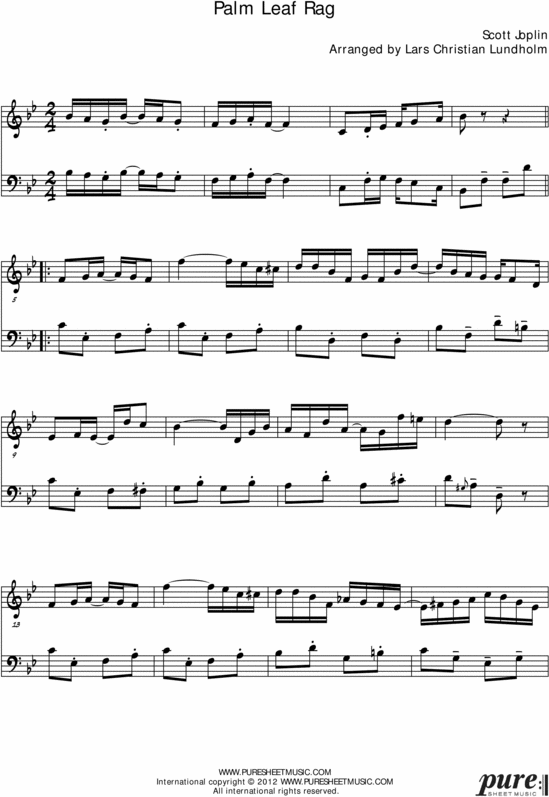 Product picture Palm Leaf Rag Pure Sheet Music Duet for Guitar and Accordion, Arranged by Lars Christian Lundholm